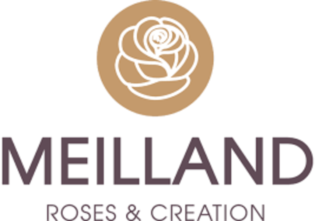 Logo Meilland International