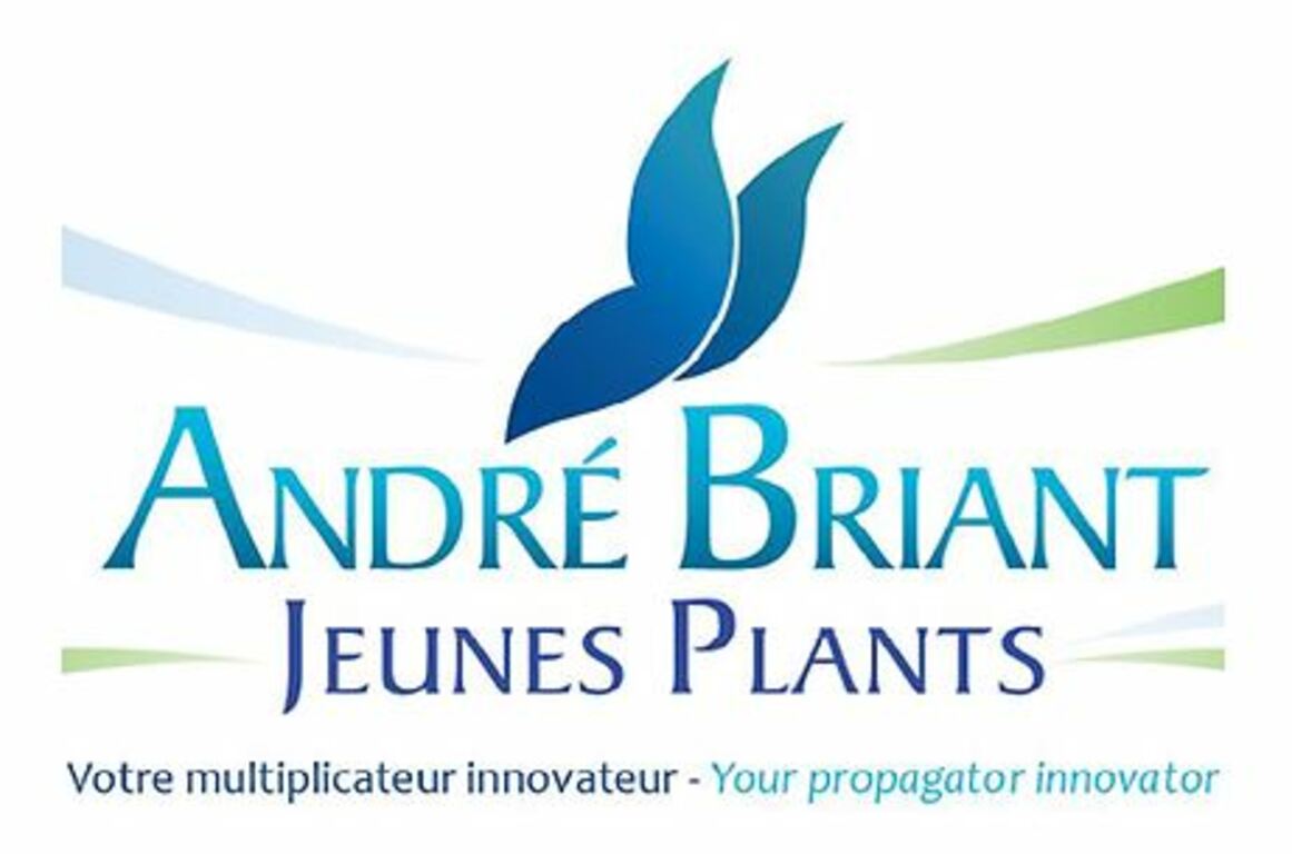 Logo André Briant Jeunes Plants