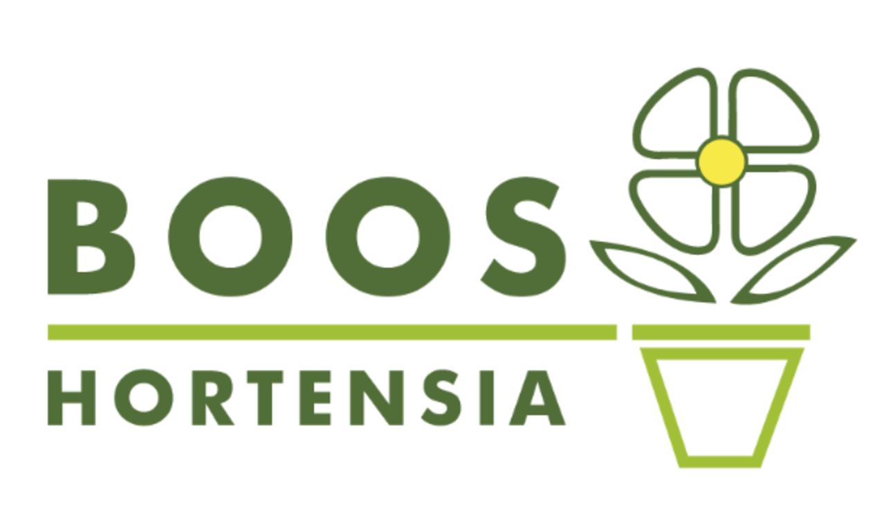 Logo BOOS Hortensia