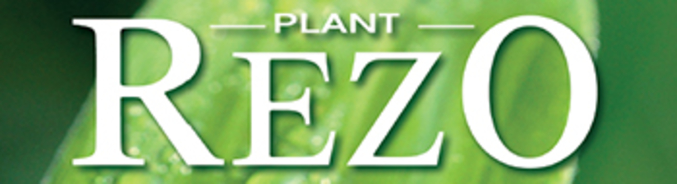 Logo RezO-Plant