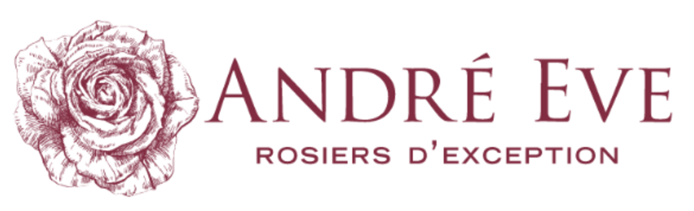 Logo Andre Eve - Roses anciennes et nouvelles